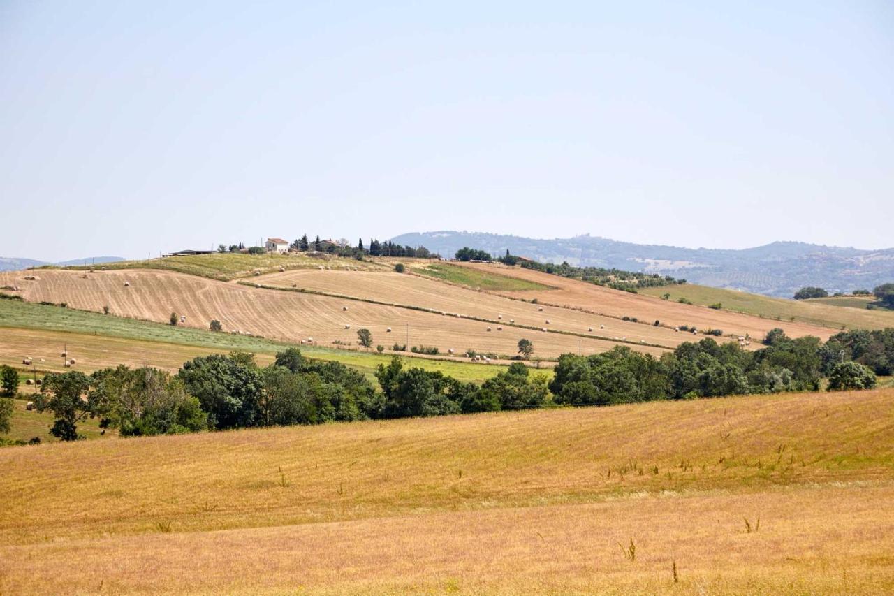 Agriturismo Montecrespini Saturnia Exteriér fotografie