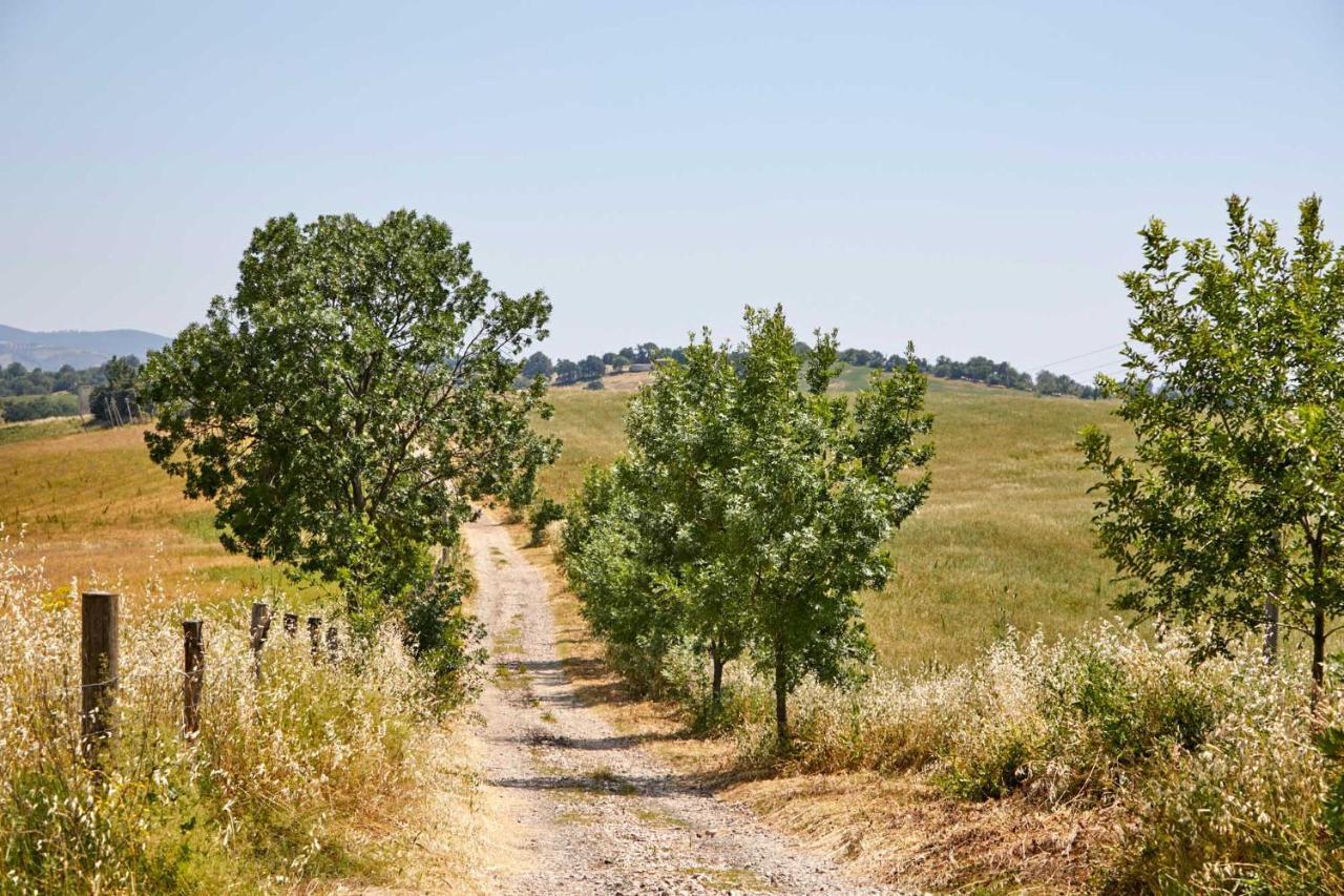 Agriturismo Montecrespini Saturnia Exteriér fotografie